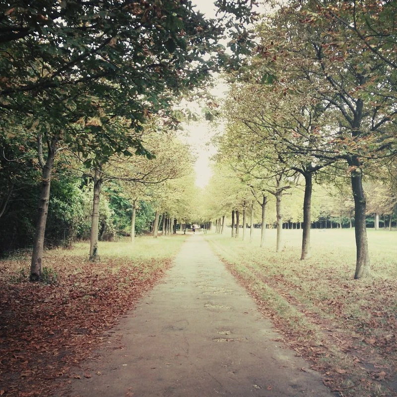 2012 › Parc de St Cloud