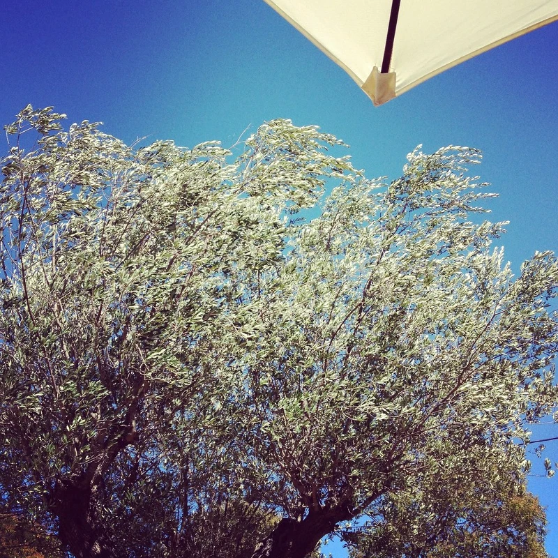 2012 › Côte d'Azur [iPhone]