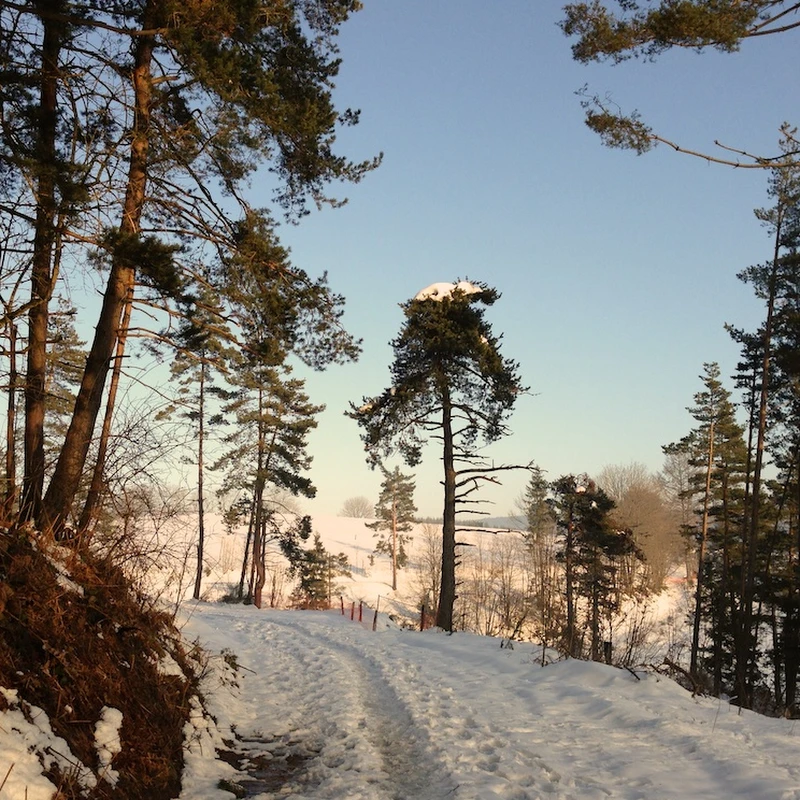 2013 › Balades dans le Pilat sous la neige