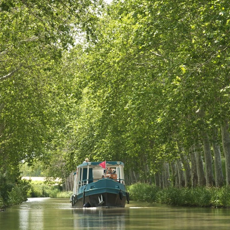 2013 › Le canal du midi en bateau