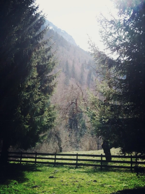 Petit déj face à la montagne