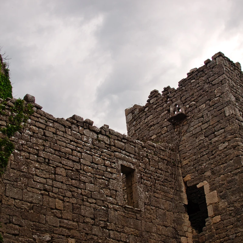 2009 › Château de Saint Bauzille de Montmel