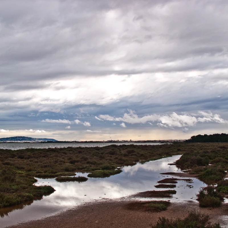 2009 › Balade aux Aresquies