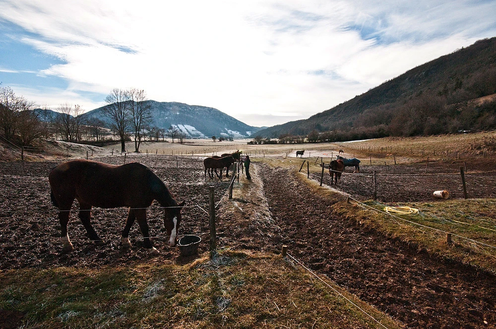 Centre equestre dans le Vercors