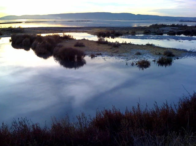 Discussion dans les marais