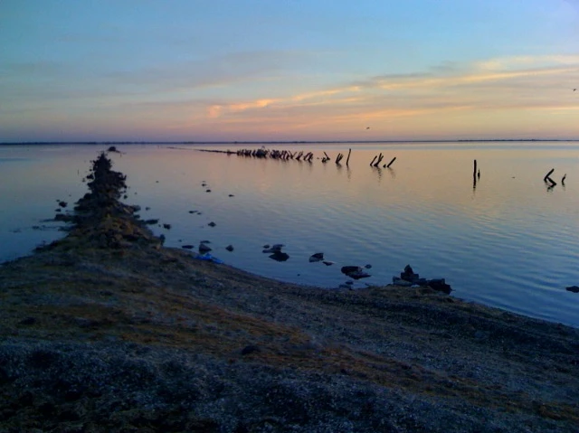 Toujours dans les marais