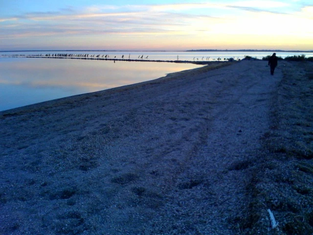 De retour du bord de mer (salins de Maguelone, près de Montpellier)