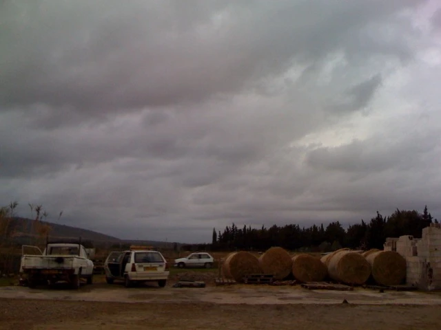 En préparation pour une balade à cheval au bord de la mer