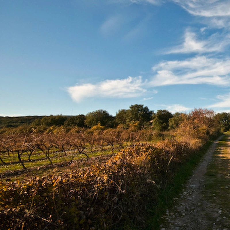 2008 › Montpellier