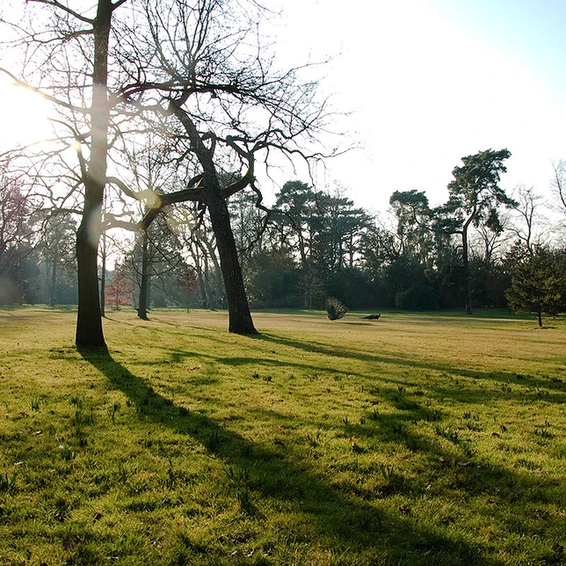 2008 › Parc de Bagatelle