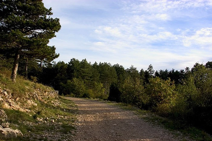 efc17033270f35cbfe00b22cafac9193