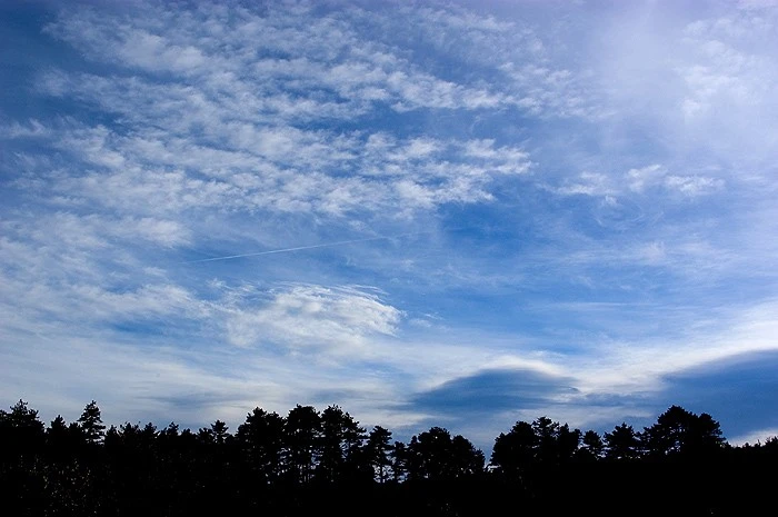 e0b8417d5a96239b78fc27b7f08e104d