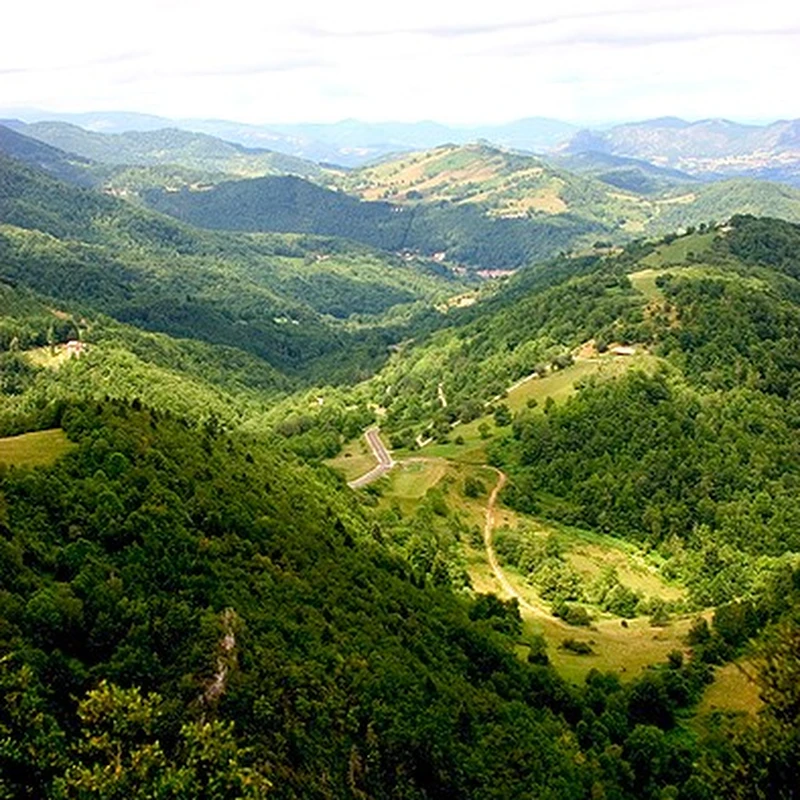 2006 › La Pastorale