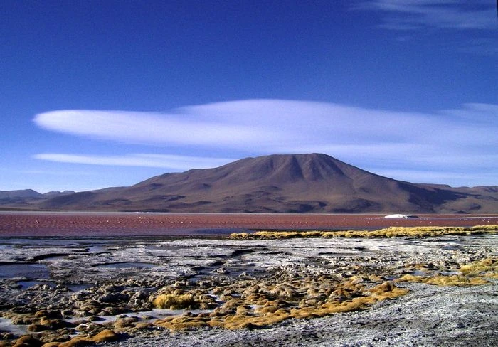 Laguna Colorada