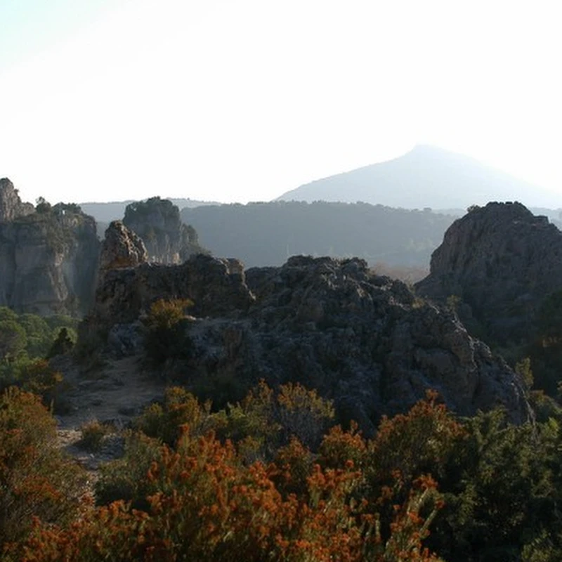 2005 › Montpellier